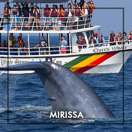Mirissa