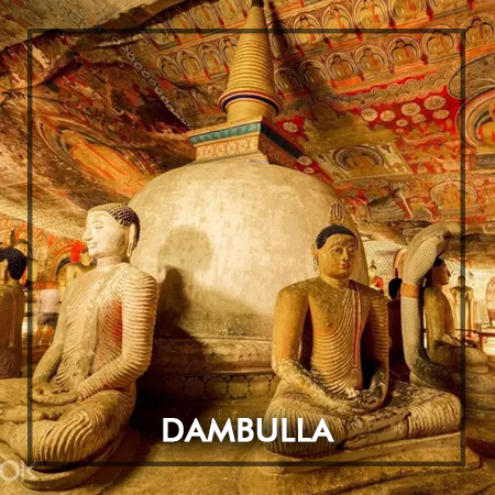 dambulla