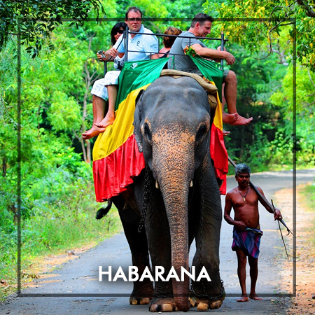 habarana