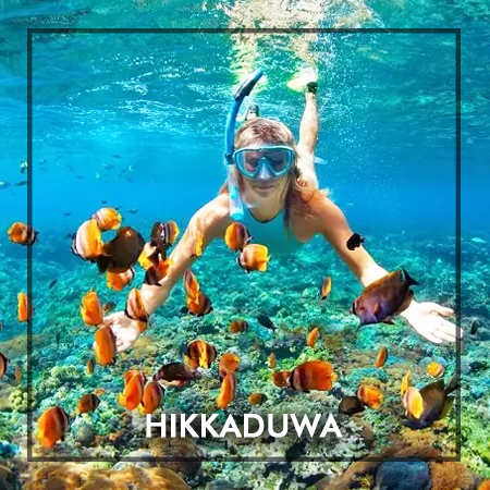 hikkaduwa