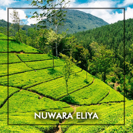 nuwara eliya