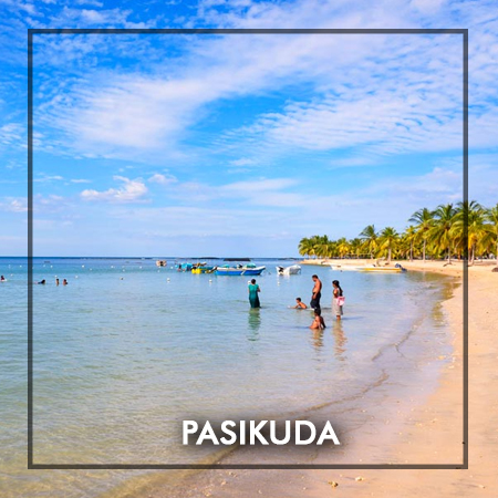 pasikuda